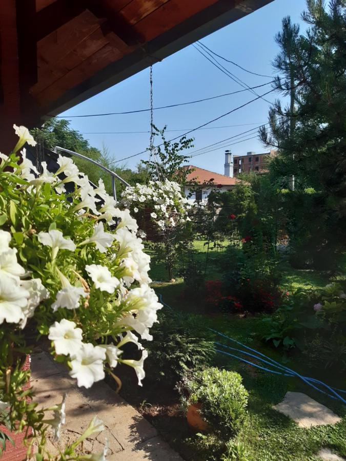 Natura Apartment Beograd Ngoại thất bức ảnh