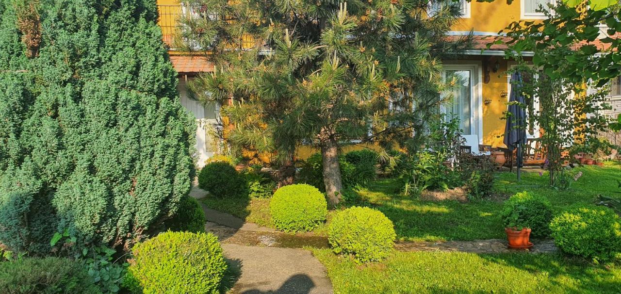 Natura Apartment Beograd Ngoại thất bức ảnh
