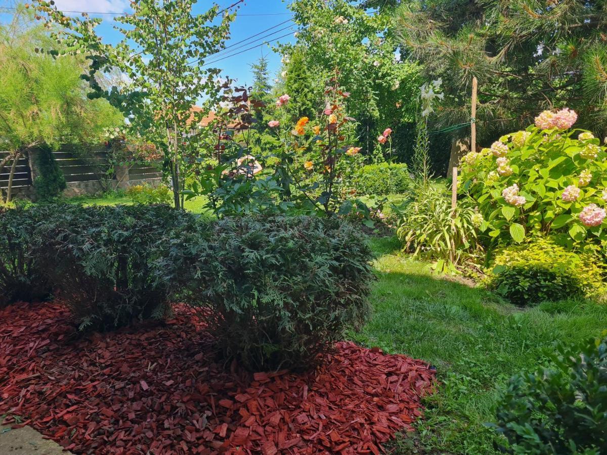Natura Apartment Beograd Ngoại thất bức ảnh