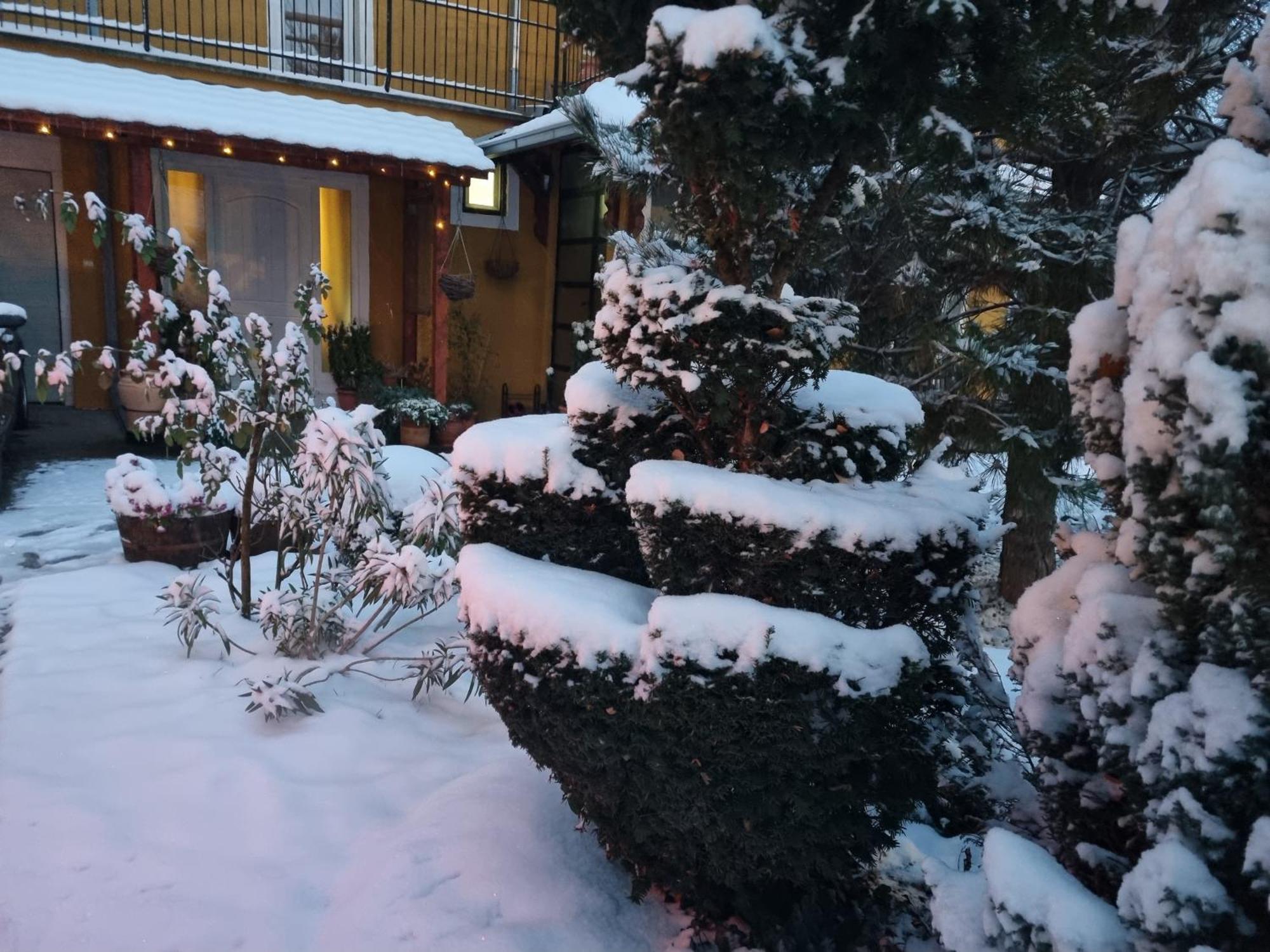 Natura Apartment Beograd Ngoại thất bức ảnh