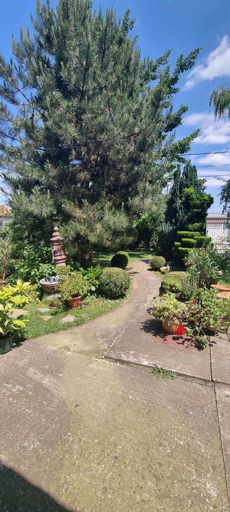 Natura Apartment Beograd Ngoại thất bức ảnh