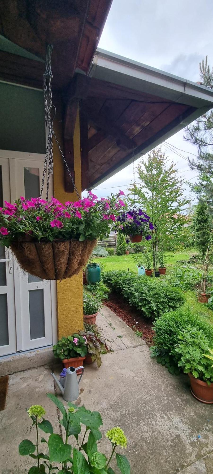 Natura Apartment Beograd Ngoại thất bức ảnh