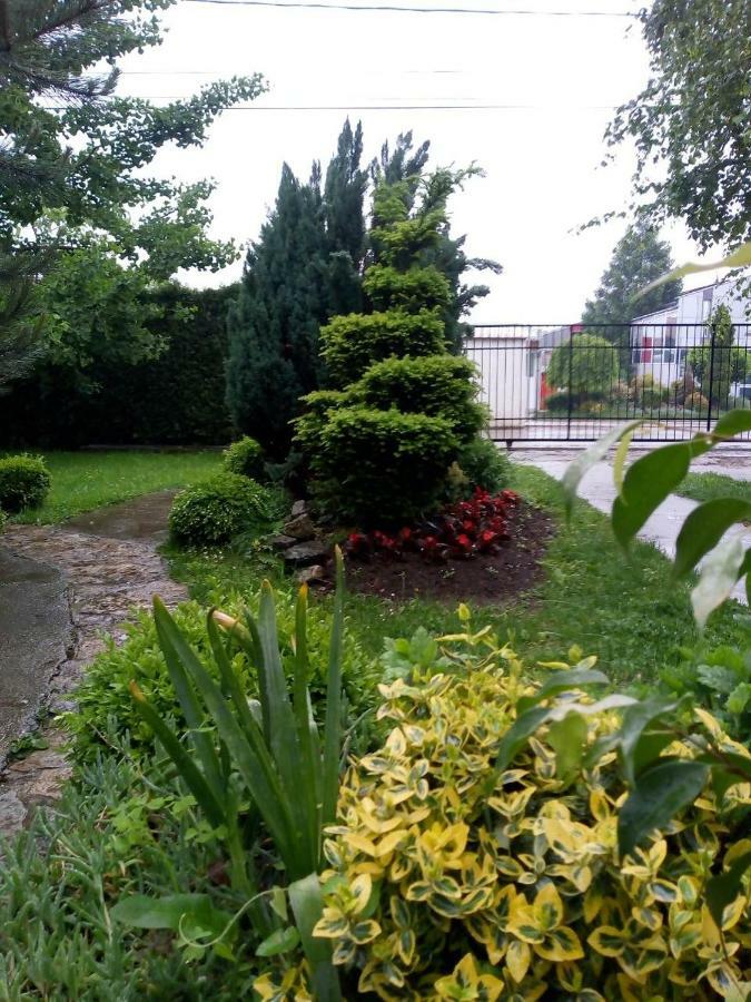 Natura Apartment Beograd Ngoại thất bức ảnh