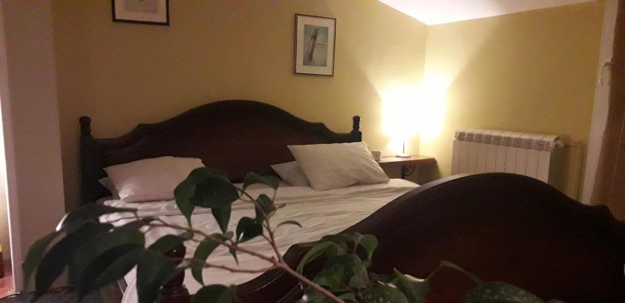 Natura Apartment Beograd Ngoại thất bức ảnh